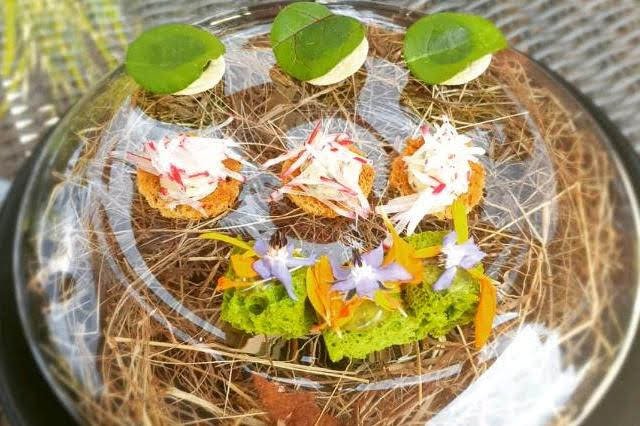 Jérômovo kuchařské umění odráží jeho vášeň k vaření.jpg Jérômovo kuchařské umění odráží jeho vášeň k vaření