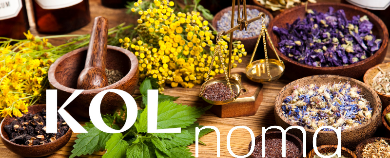 Noma provede výsadek (spin off) v Londyně