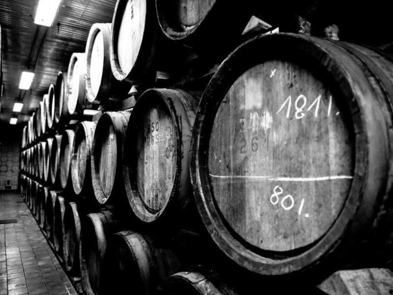 Zrání probíhá v sudech z dubu zimního.jpg Zrání probíhá v sudech z dubu zimního