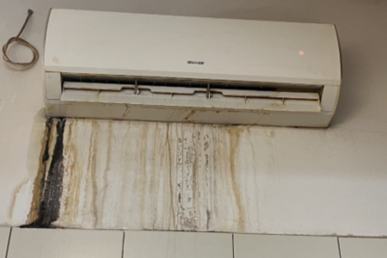 Foto č. 4 – pavučiny a plíseň v kuchyni.png Foto č. 4 – pavučiny a plíseň v kuchyni