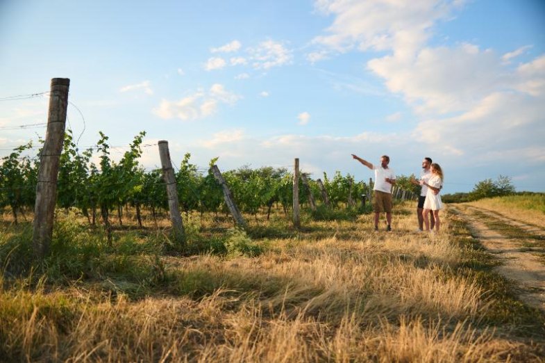 Vinařství THAYA, foto vinařství THAYA.jpg Vinařství THAYA, foto vinařství THAYA