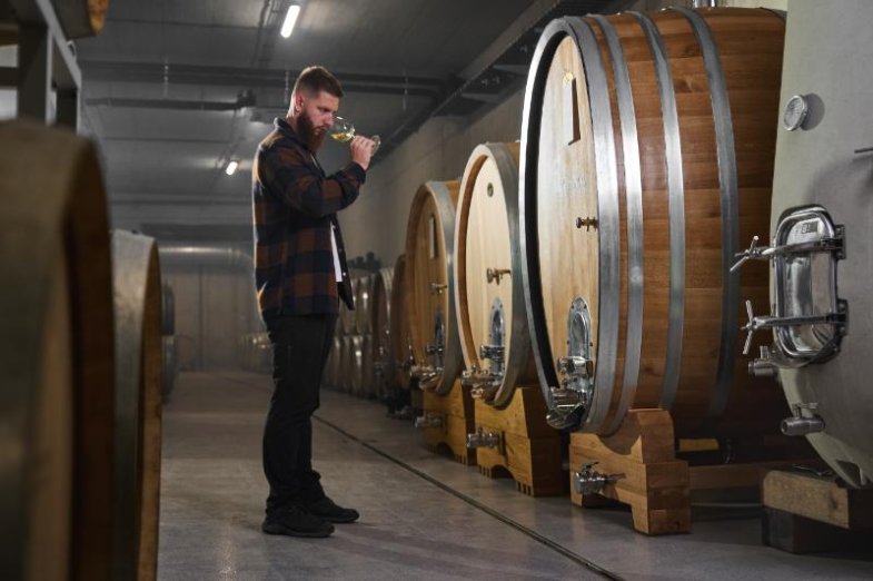 Vinařství THAYA, foto vinařství THAYA.jpg Vinařství THAYA, foto vinařství THAYA