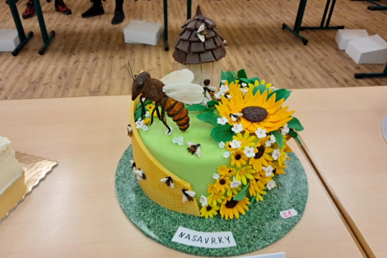 Sladké setkání v Nasavrkách 2025, foto: Lucie Hrodějová